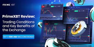 Comprehensive Insights and Reviews PrimeXBT Comprehensive Insights and Reviews PrimeXBT